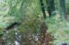 dsc05592_small.jpg