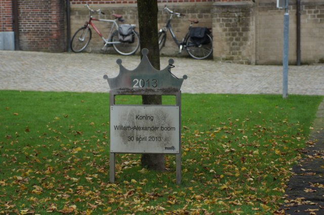 dsc05616.jpg