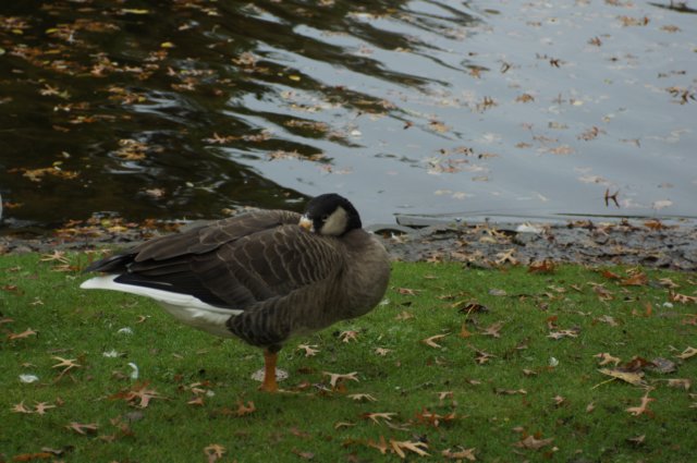 dsc05645.jpg