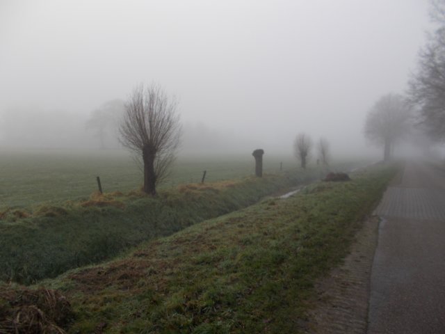 dscn0847.jpg