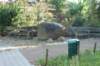 dsc05101_small.jpg