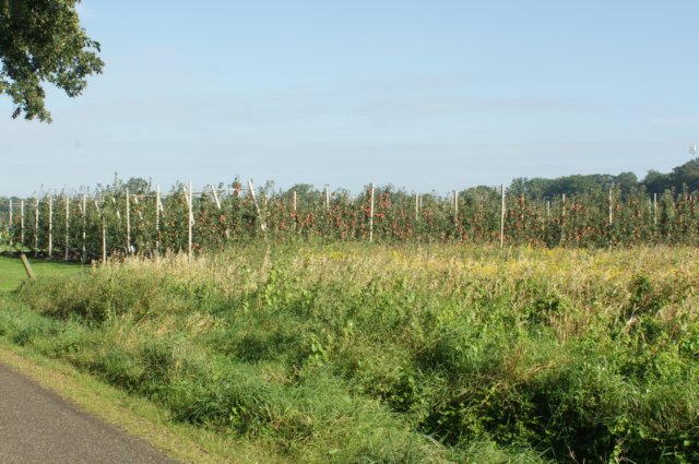 dsc05110.jpg