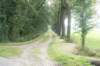 dsc05122_small.jpg