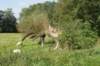 dsc05130_small.jpg