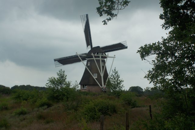 dsc03736.jpg