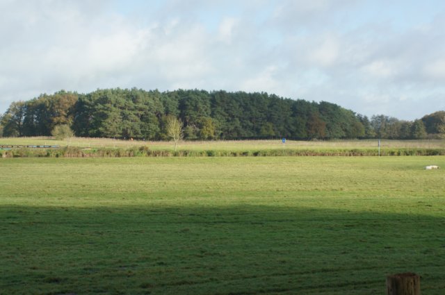 dsc05719.jpg