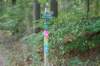 dsc05722_small.jpg