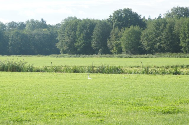 dsc04938.jpg