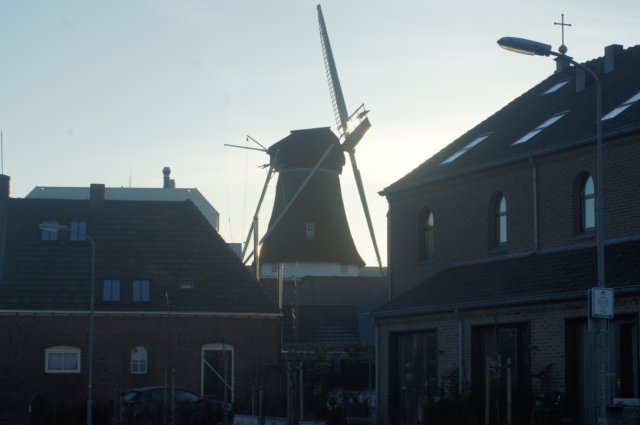 dsc03037.jpg
