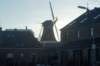 dsc03037_small.jpg