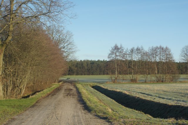 dsc03044.jpg
