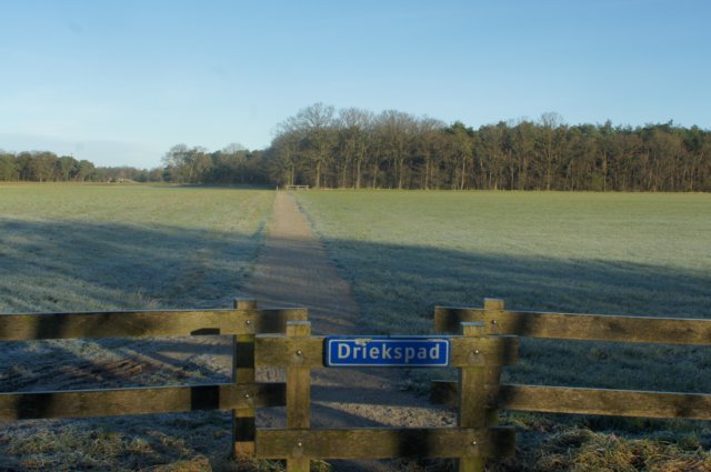 dsc03046.jpg