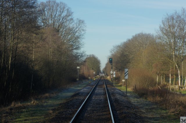 dsc03065.jpg
