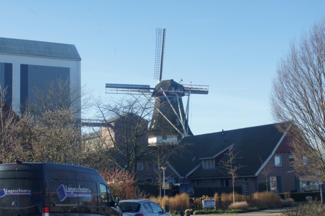 dsc03088.jpg