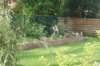 dsc03583_small.jpg