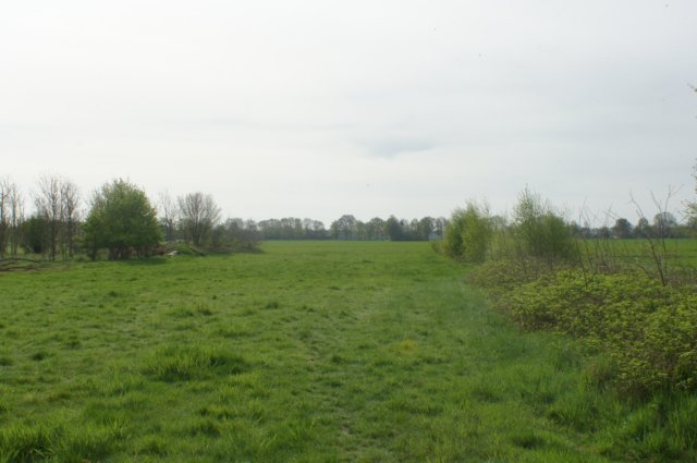 dsc03595.jpg