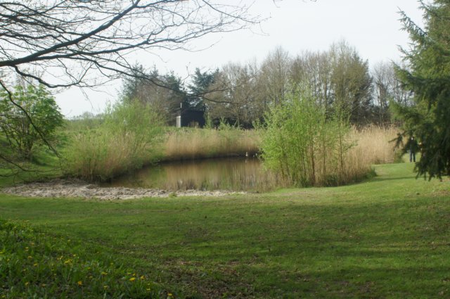dsc03604.jpg