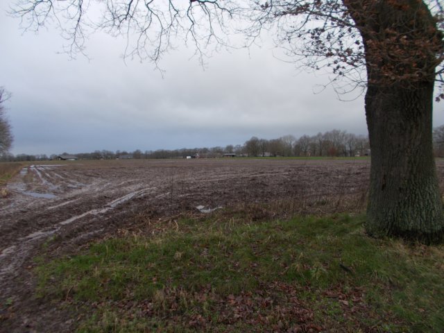 dscn0297.jpg