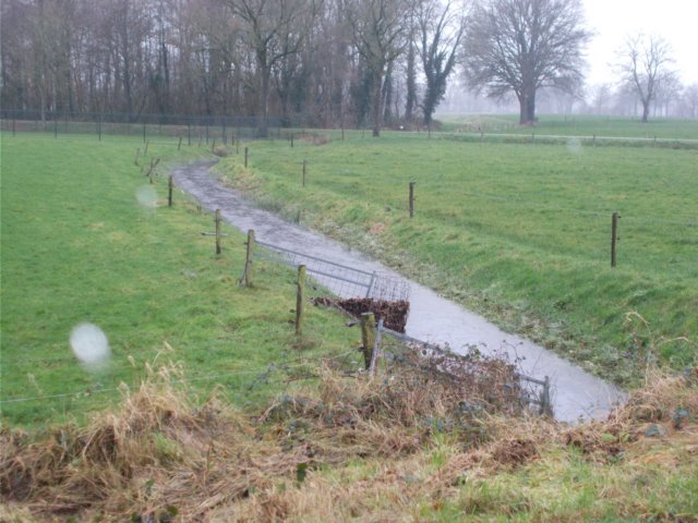 dscn0315.jpg
