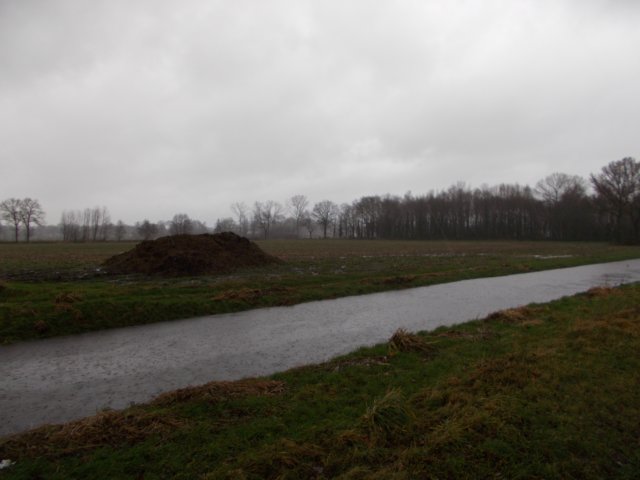 dscn0320.jpg