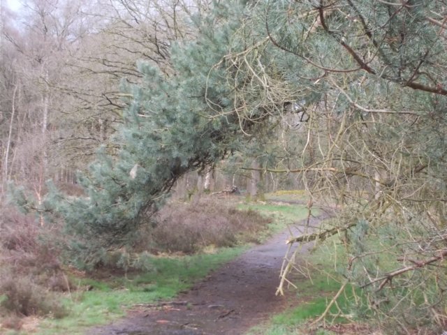 dscn0418.jpg