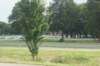 dsc03876_small.jpg