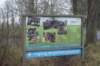 dsc03230_small.jpg