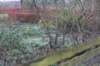 dsc03232_small.jpg