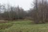 dsc03236_small.jpg