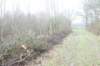 dsc03237_small.jpg