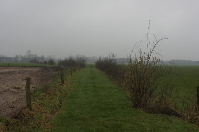 dsc03246.jpg
