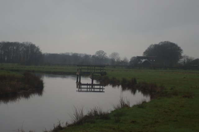 dsc03252.jpg