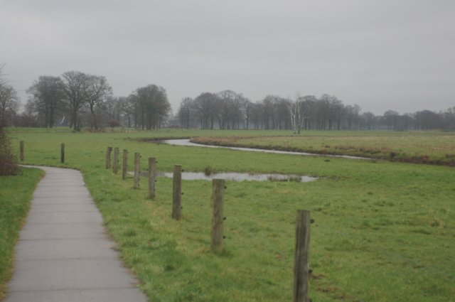 dsc03265.jpg
