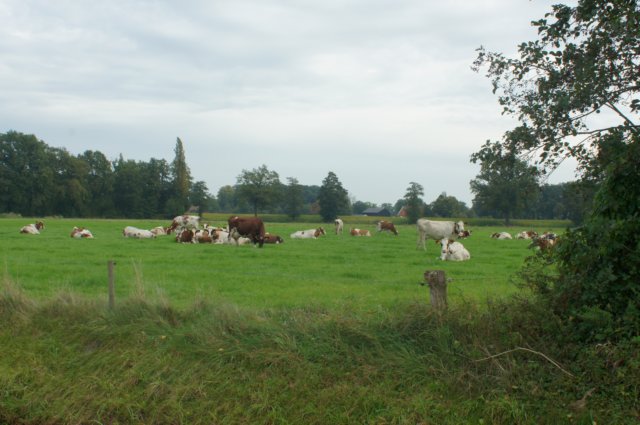 dsc05305.jpg
