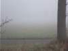 dscn1154_small.jpg