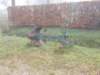 dscn1155_small.jpg
