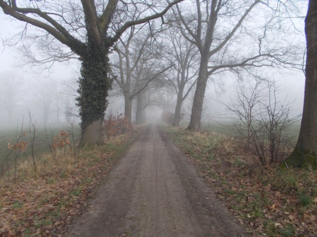 dscn1162.jpg