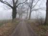 dscn1162_small.jpg