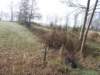 dscn1172_small.jpg