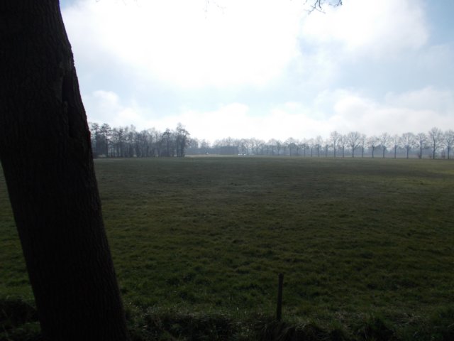 dscn1175.jpg