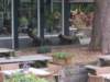 dscn0695_small.jpg