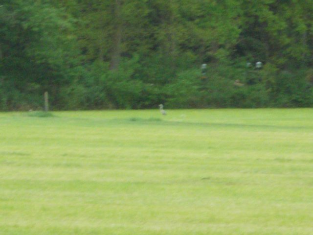 dscn0702.jpg