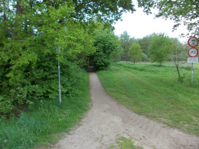dscn0705.jpg