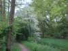 dscn0706_small.jpg