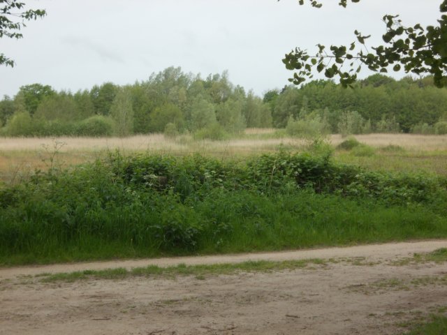 dscn0707.jpg