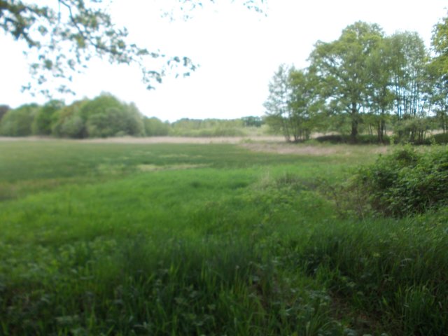 dscn0712.jpg