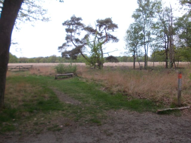 dscn0713.jpg