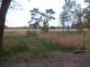 dscn0713_small.jpg