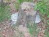 dscn0714_small.jpg