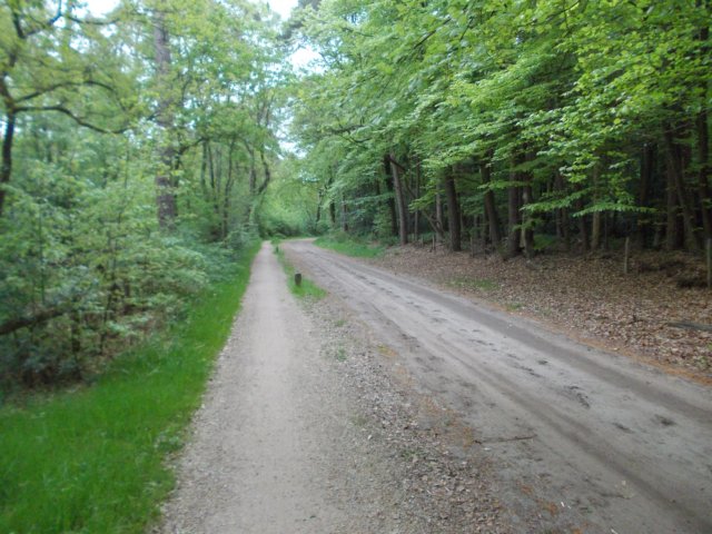dscn0716.jpg